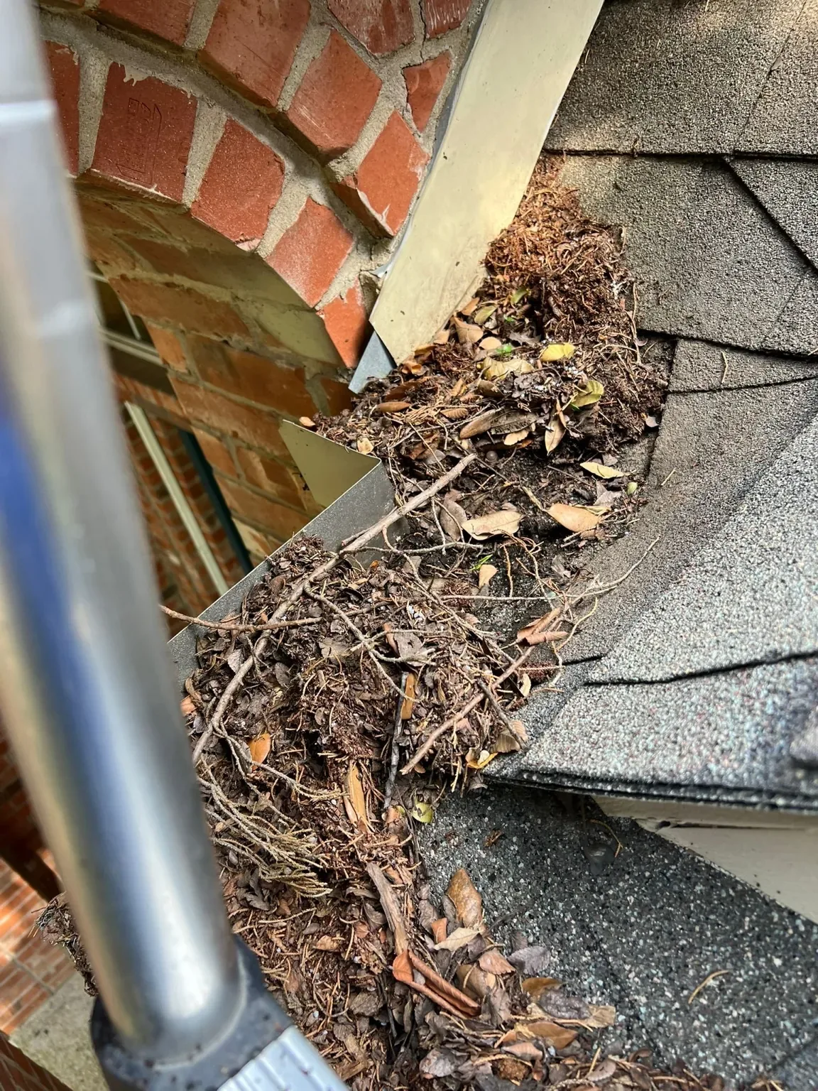 Heavy leaf and organic debris buildup in a residential gutter